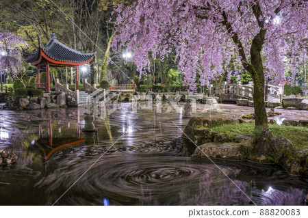 Gifu City, Gifu Prefecture Gifu Park, Japan-China Friendship Garden Flower Raft 88820083