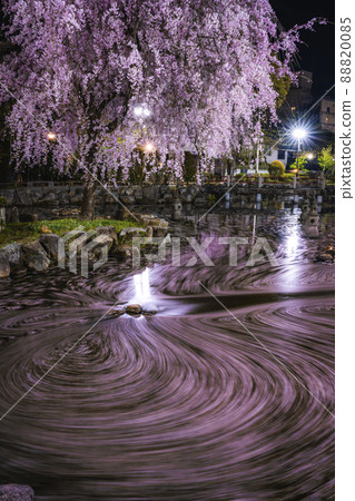 Gifu City, Gifu Prefecture Gifu Park, Japan-China Friendship Garden Flower Raft 88820085