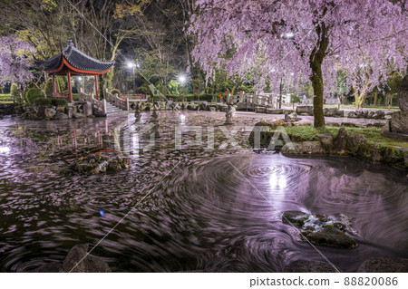 Gifu City, Gifu Prefecture Gifu Park, Japan-China Friendship Garden Flower Raft 88820086