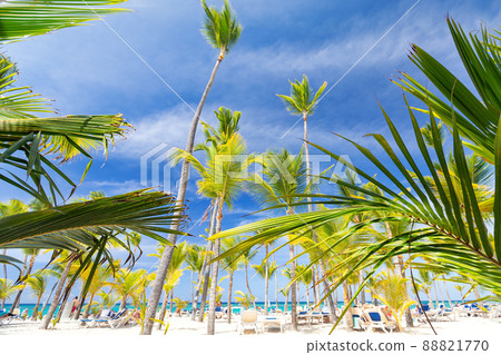 Dominican Republic travel destination, beach scene 88821770
