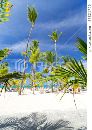Dominican Republic travel destination, beach scene 88821796