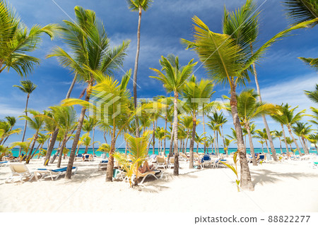 Dominican Republic travel destination, beach scene 88822277