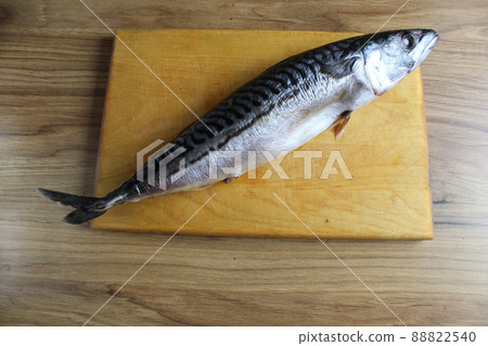 cutting mackerel fish. mackerel fish carcass lying on a butcher board is a kind of serhu. cooking fish cutting. step 1 cutting mackerel fish. mackerel fish carcass lying on a butcher board is a kind of serhu. cooking fish cutting. step 1 88822540