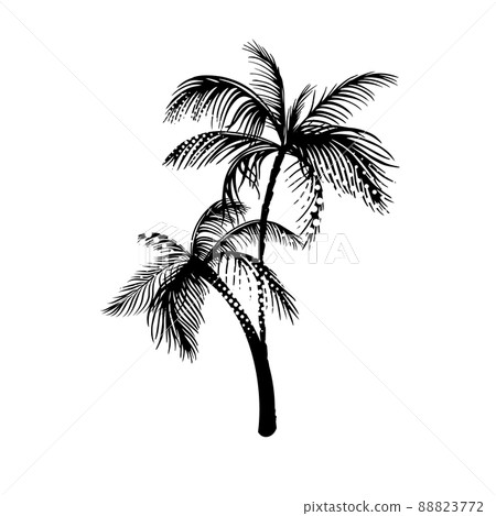 Palm object black. Vector illustration Palm object black. Vector illustration 88823772