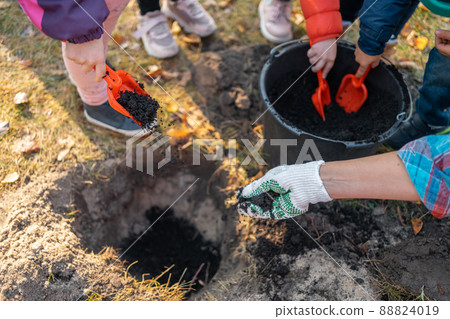 children play and dig black soil with shovel or help to planting tree outdoor 88824019