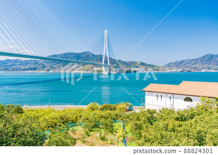 Setouchi Shimanami Kaido, Tatara Bridge seen from Lemon Valley Setouchi Shimanami Kaido, Tatara Bridge seen from Lemon Valley 88824301