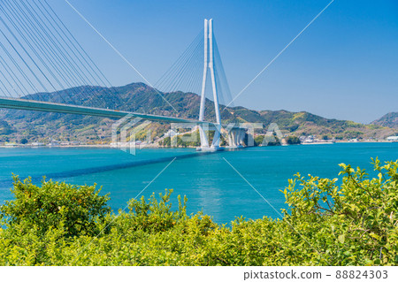 Setouchi Shimanami Kaido, Tatara Bridge seen from Lemon Valley 88824303