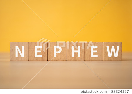 Image of nephew | Building blocks with "NEPHEW" written on them 88824337