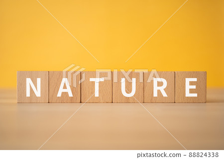 上面寫著“自然”的積木 88824338