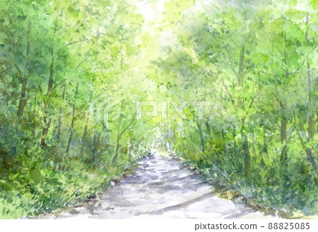 森林長廊的水彩畫 88825085
