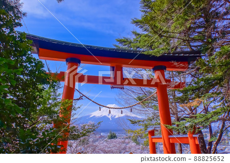 Cherry blossoms at Shinagurayama Asama Park Cherry blossoms at Shinagurayama Asama Park 88825652