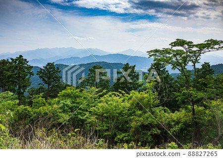新鮮的綠色山路、水流、藍天、美麗的自然、東京的山間步行 88827265