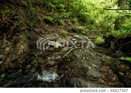 新鮮的綠色山路、水流、藍天、美麗的自然、東京的山間步行 88827307