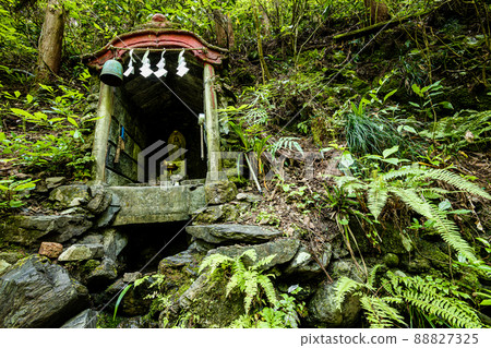 新鮮的綠色山路、水流、藍天、美麗的自然、東京的山間步行 新鮮的綠色山路、水流、藍天、美麗的自然、東京的山間步行 88827325