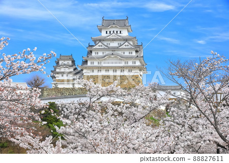 【兵庫縣】晴天姬路城櫻花盛開 88827611