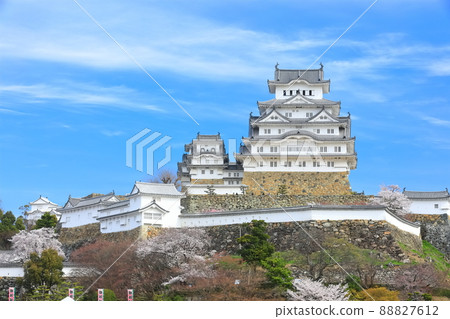 [Hyogo Prefecture] Himeji Castle in fine weather and cherry blossoms in full bloom 88827612
