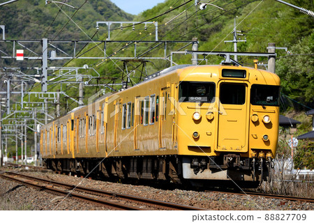 Four 115 series local trains running on the Hakubi Line (vivid style) 88827709