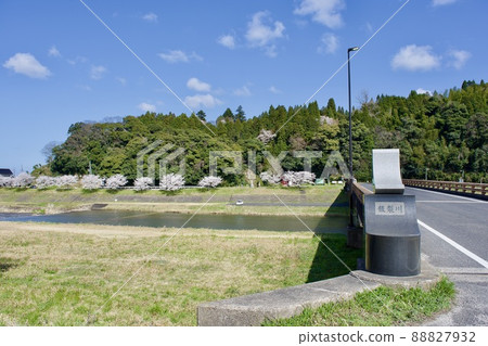 Gassantoda Castle in the spring after maintenance, Tomidabashi over the Iinashi River Gassantoda Castle in the spring after maintenance, Tomidabashi over the Iinashi River 88827932