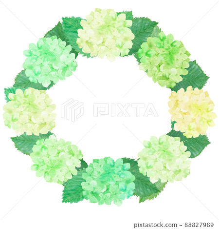插圖素材：用水彩畫的可愛的繡球花環 自然清新的綠色 88827989