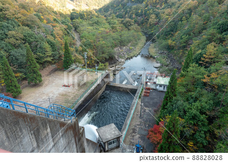 Around Ozegawa Dam in autumn 88828028