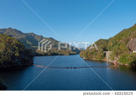 Around Ozegawa Dam in autumn 88828029