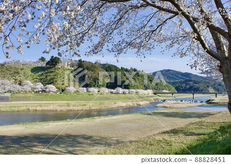 Iinashi River flowing through Gassantoda Castle in the spring after maintenance Iinashi River flowing through Gassantoda Castle in the spring after maintenance 88828451
