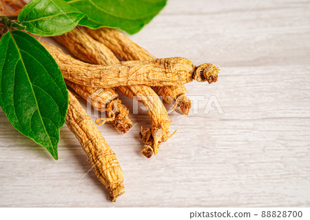 Ginseng roots and green leaf, healthy food. 88828700