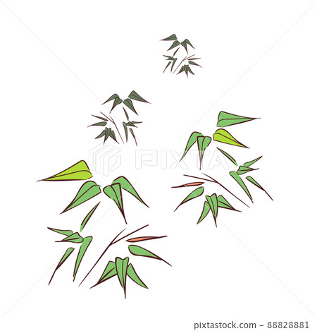 青竹草套 青竹草套 88828881
