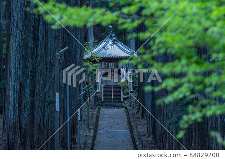 初夏寺 88829200