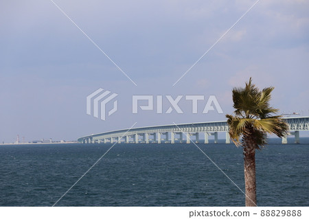 棕櫚樹景觀,海浪深藍,天門橋,機場人工島,薄雲藍天 棕櫚樹景觀,海浪深藍,天門橋,機場人工島,薄雲藍天 88829888
