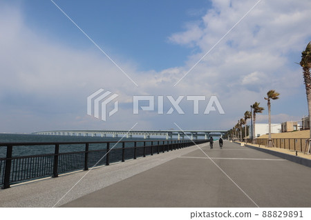 自行車與藍天、雲彩、藍色海面、天門大橋、人工島和棕櫚樹一起去的海岸公園的風景 自行車與藍天、雲彩、藍色海面、天門大橋、人工島和棕櫚樹一起去的海岸公園的風景 88829891