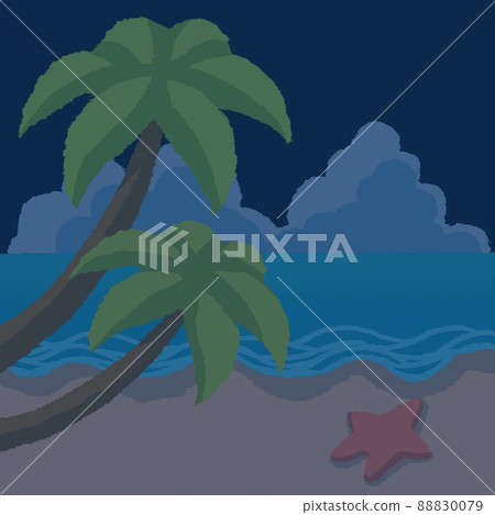 Sea, blue sky and palm trees (night) Sea, blue sky and palm trees (night) 88830079