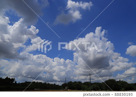 Scenery in drive 88830193