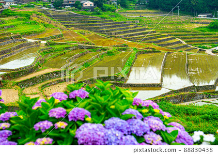Onigi Rice Terraces, which has reached the season of rice planting Onigi Rice Terraces, which has reached the season of rice planting 88830438