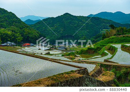 Onigi梯田,已經到了水稻種植的季節 Onigi梯田,已經到了水稻種植的季節 88830440