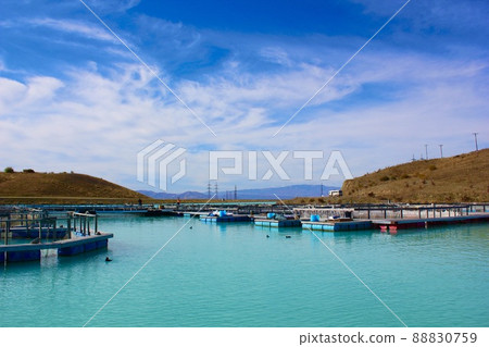 New Zealand Salmon Farm Tour High Country Salmon Farm 88830759