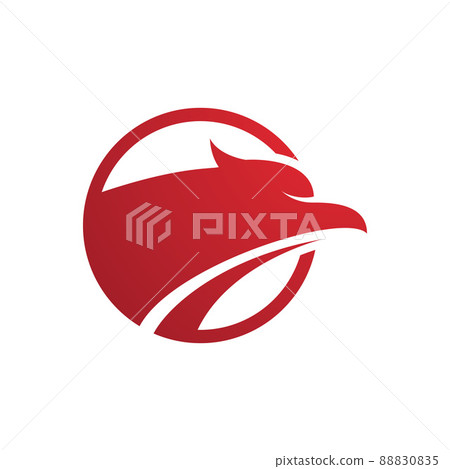 Falcon eagle bird 88830835
