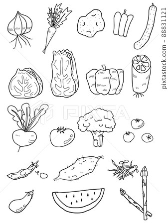 Line drawing set of many vegetables 88831121