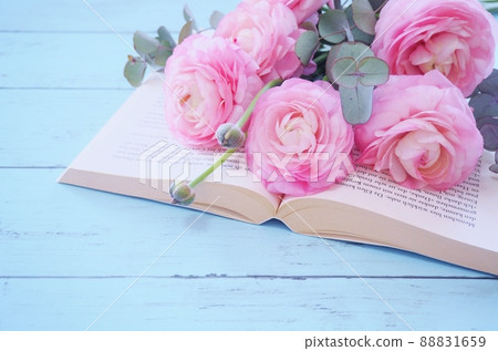 書上的毛茛 88831659