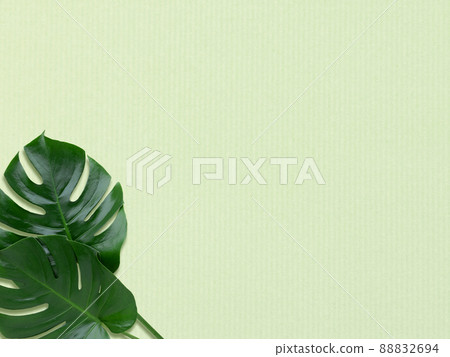Tropical atmosphere background material 88832694