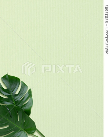 Tropical atmosphere background material 88832695
