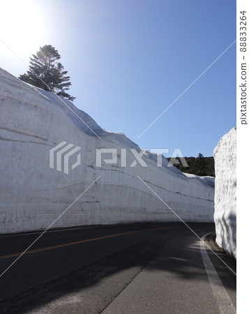 Snow Corridor Snow Wall Zao Echo Line 88833264