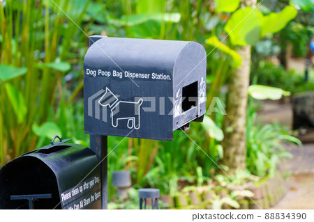 Dog waste station with black pet poop bags and garbage can beside a tree and pathway 88834390