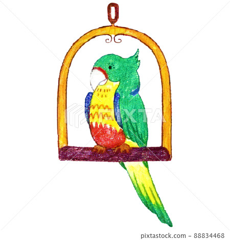 手感柔軟的手繪鳥的插圖 手感柔軟的手繪鳥的插圖 88834468