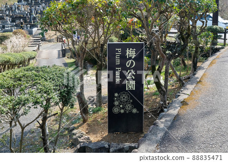 Ume Park, Ome City, Tokyo 88835471