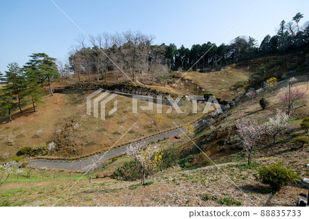 東京青梅市梅公園 東京青梅市梅公園 88835733
