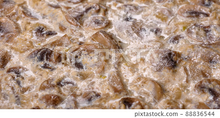 Delicious fresh young champignons sliced into slices in creamy sauce 88836544