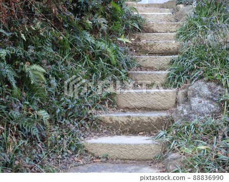 Mountain road Mountain road 88836990