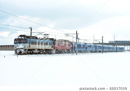 北陸本線加賀-笠間-三河JR貨運+JR西日本EF81-503+EF81-107+24係日本海 北陸本線加賀-笠間-三河JR貨運+JR西日本EF81-503+EF81-107+24係日本海 88837039
