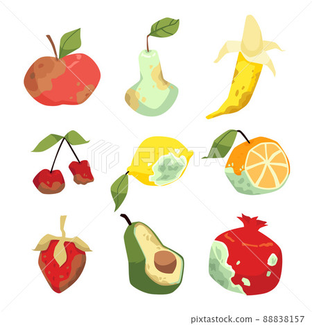 Set of spoiled, rotten fruits with mold, bacilli, fungi in flat vector 88838157